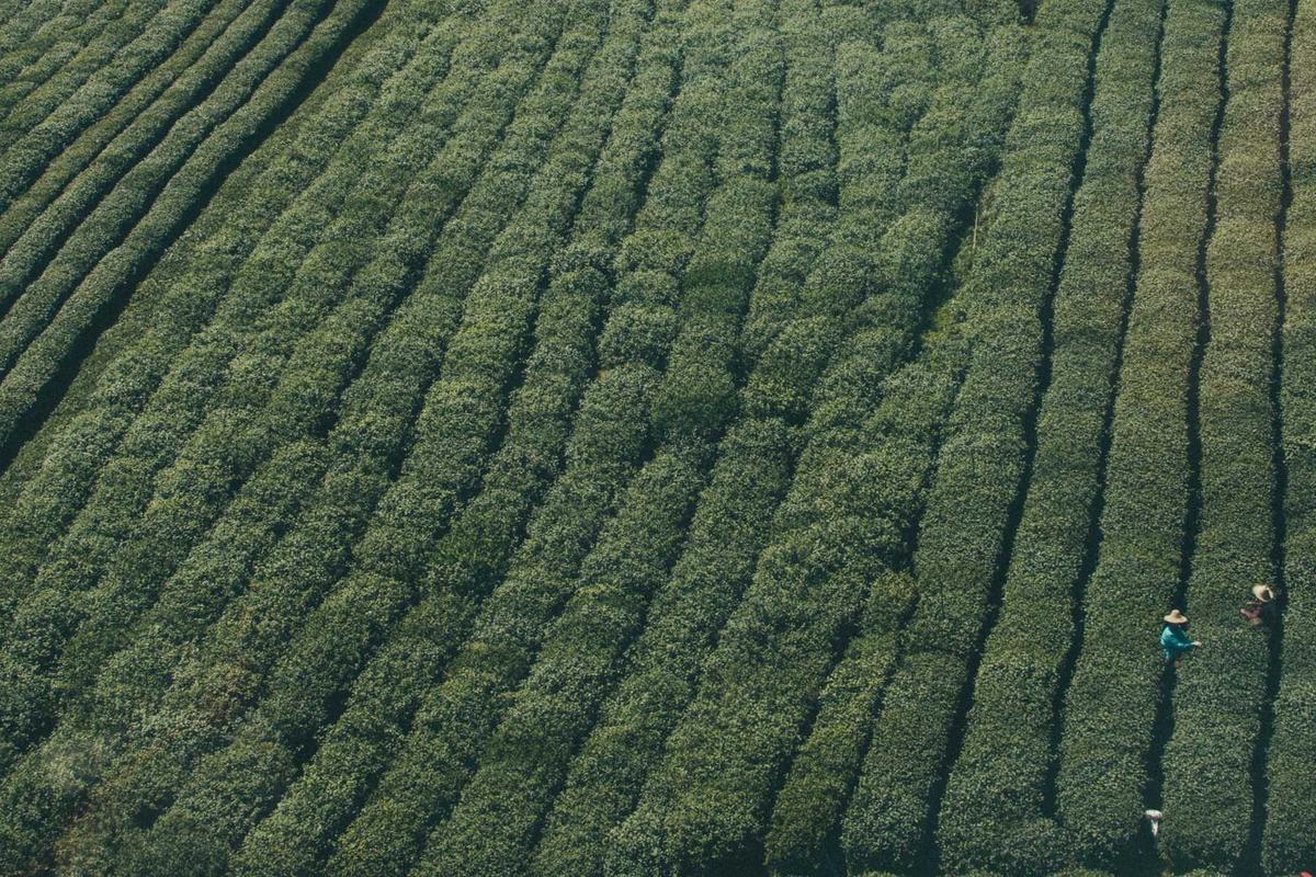 프라이빗 수영장